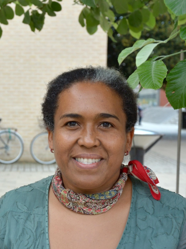 Professor Mónica  Moreno Figueroa